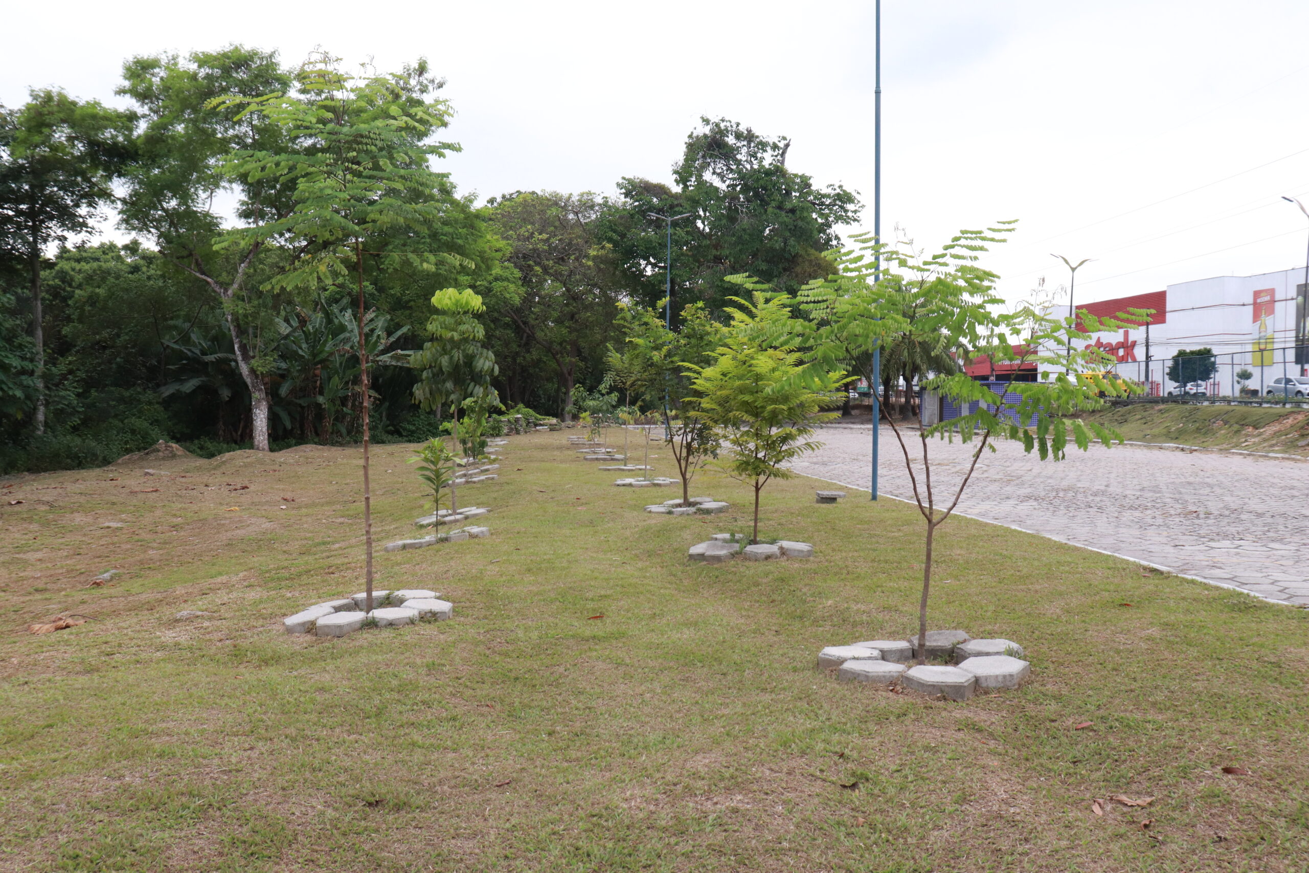 Um Ano Do Memorial Vida Instituto Soka Amaz Nia