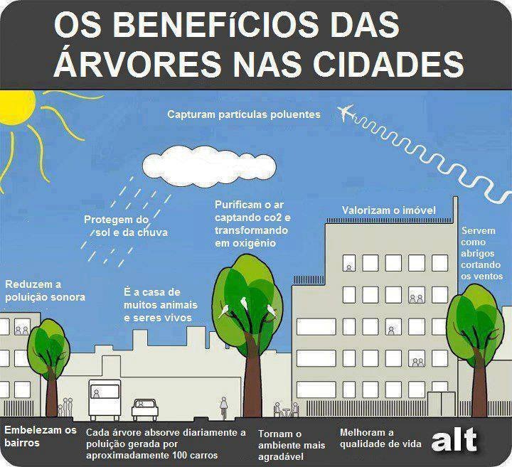 PDF) A Árvore no Espaço Urbano