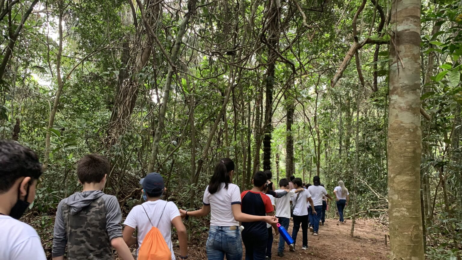 Educação Ambiental