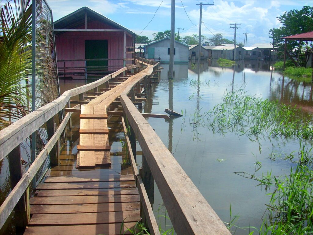 Mudanças climáticas Amazonas