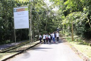 Trilhas pela Reserva e Sitio Arqueológico